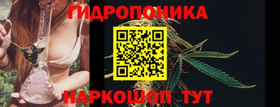 СК Бузулук