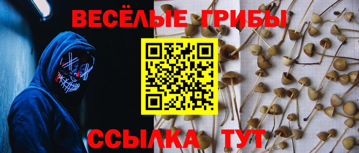 Псилоцибиновые грибы MAGIC MUSHROOMS Красный Сулин